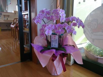 金沢ランチさんからのお花です